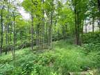 Plot For Sale In Richfield, Ohio