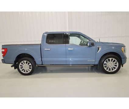 2023 Ford F-150 Limited is a Blue, Grey 2023 Ford F-150 Limited Truck in Canfield OH
