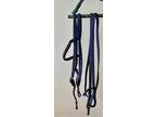 Horse headstall w/lead - Blue nylon with brown leather trim and silver studs