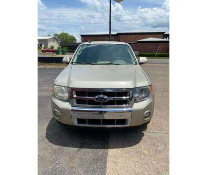 2010 Ford Escape for sale is a Yellow 2010 Ford Escape Car for Sale in Quincy FL