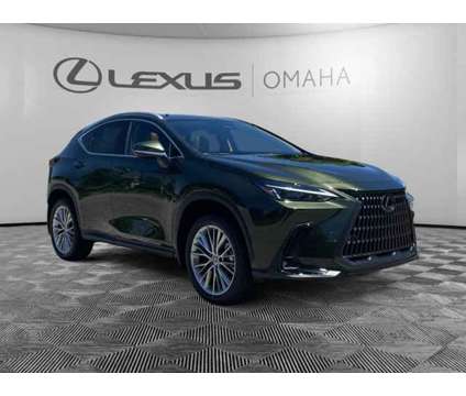 2025 Lexus NX NX 350h Premium is a Green 2025 Car for Sale in Omaha NE