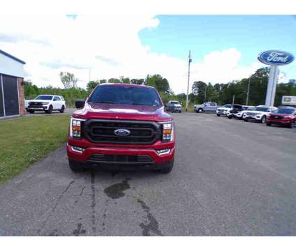 2022UsedFordUsedF-150Used4WD SuperCrew 5.5 Box is a Red 2022 Ford F-150 Car for Sale in Amory MS