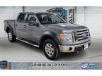 2009 Ford F-150 Gray, 183K miles