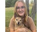 Experienced and Reliable Pet Sitter in Pierz, MN - $40 Daily