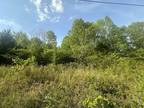 Plot For Sale In Ashland City, Tennessee