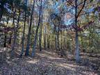 Plot For Sale In Woodlawn, Tennessee