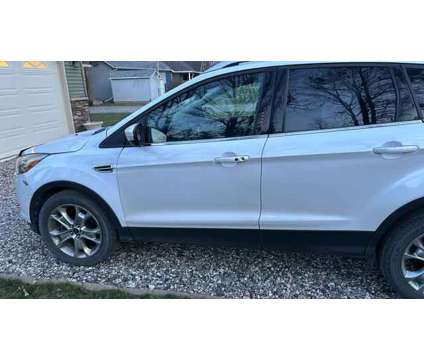 2014 Ford Escape for sale is a White 2014 Ford Escape Car for Sale in Hendrum MN