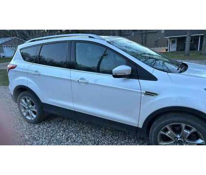 2014 Ford Escape for sale is a White 2014 Ford Escape Car for Sale in Hendrum MN