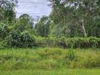 Plot For Sale In Astor, Florida