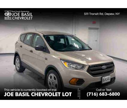 2017 Ford Escape S is a Gold, White 2017 Ford Escape S SUV in Depew NY