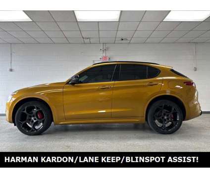 2023 Alfa Romeo Stelvio Veloce is a Gold 2023 Alfa Romeo Stelvio SUV in Greer SC