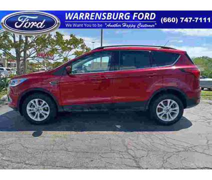 2019 Ford Escape SEL is a Red 2019 Ford Escape SEL SUV in Warrensburg MO