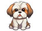 Shih Tzu Puppy for sale in Leslie, AR, USA