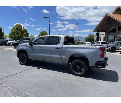 2024 Chevrolet Silverado 1500 4WD Crew Cab Short Bed Custom Trail Boss is a Grey 2024 Chevrolet Silverado 1500 Truck in Logan UT