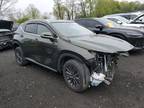 Salvage 2024 Lexus NX 250 for Sale