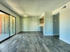 1Bed 1Bath Available Now $1195 Per Month