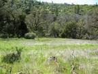 Plot For Sale In Plymouth, California
