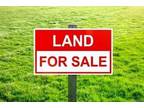Plot For Sale In Independence, Louisiana
