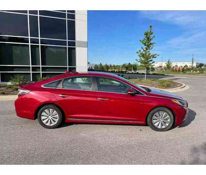 2016 Hyundai Sonata Hybrid for sale is a Red 2016 Hyundai Sonata Hybrid Hybrid in Roselle IL