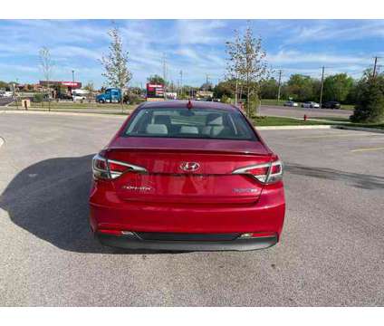 2016 Hyundai Sonata Hybrid for sale is a Red 2016 Hyundai Sonata Hybrid Hybrid in Roselle IL