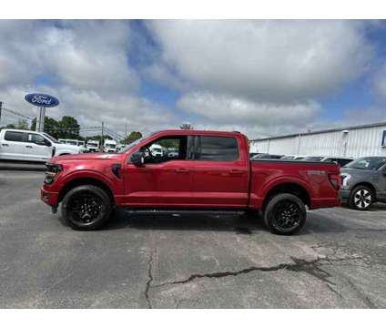 2024 Ford F-150 XLT Blackout is a Red 2024 Ford F-150 XLT Car for Sale in Hurricane WV