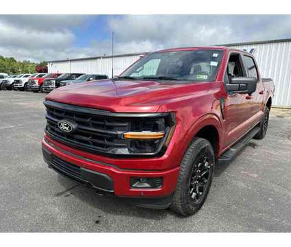 2024 Ford F-150 XLT Blackout is a Red 2024 Ford F-150 XLT Car for Sale in Hurricane WV