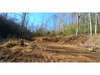 Land for Sale by owner in Cherry Log, GA