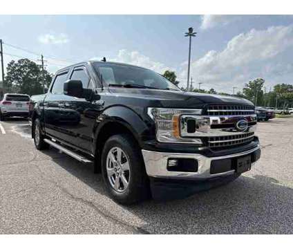 2019 Ford F-150 is a Black 2019 Ford F-150 Car for Sale in Collierville TN