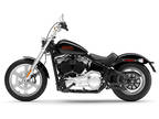 2024 Harley-Davidson Softail® Standard