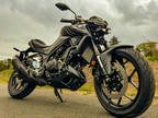 2024 Yamaha MT-03