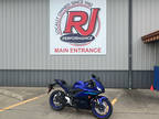 2024 Yamaha YZF-R3