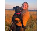 Experienced and Affordable Pet Sitter in Brainerd, MN - $18/Hr