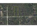 Plot For Sale In Old Town, Florida