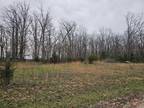 Plot For Sale In Conway, Missouri