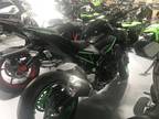 2023 Kawasaki Z900 Motorcycle for Sale