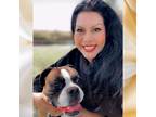 Experienced Pet Sitter in Fresno, CA: Providing Trustworthy and Affordable Care