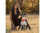 Experienced and Reliable Pet Sitter in Waco, TX $15/hr - Book Now!