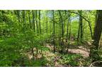 Plot For Sale In Bethel Springs, Tennessee
