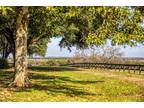 Plot For Sale In Chappell Hill, Texas