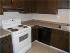 Newly renovated 1bed apartment. Includes heat/hot water