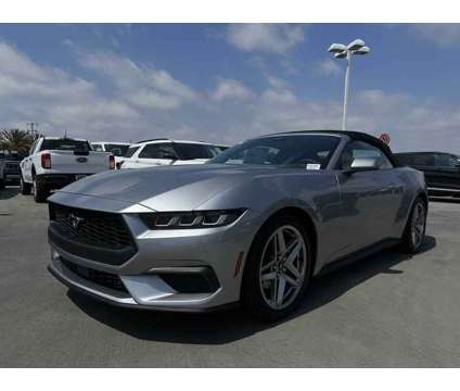 2024NewFordNewMustangNewConvertible is a Silver 2024 Ford Mustang Car for Sale in Hawthorne CA
