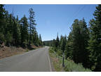 Northern California Forest Land .92 Acres