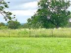 Plot For Sale In Millsap, Texas