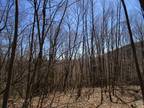 Plot For Sale In Hillsdale, New York