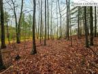 Plot For Sale In Crumpler, North Carolina