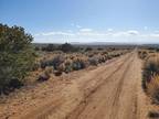 Colorado Land for Sale, 82.56 Acres