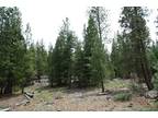 Northern California Forest Land.97 Acre