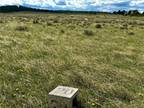 Plot For Sale In Grass Range, Montana