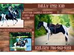 Billy the Kid~Ultra Flashy & Smooth*Safe*Fun*Spotted Saddle Gelding~
