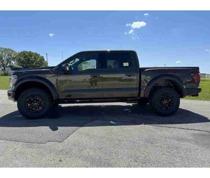 2024 Ford F-150 Raptor is a Green 2024 Ford F-150 Raptor Truck in Fort Dodge IA